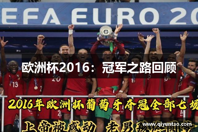 欧洲杯2016：冠军之路回顾